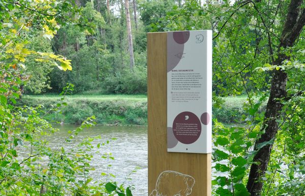 Naturpfad Thurauen, Flaach.jpg